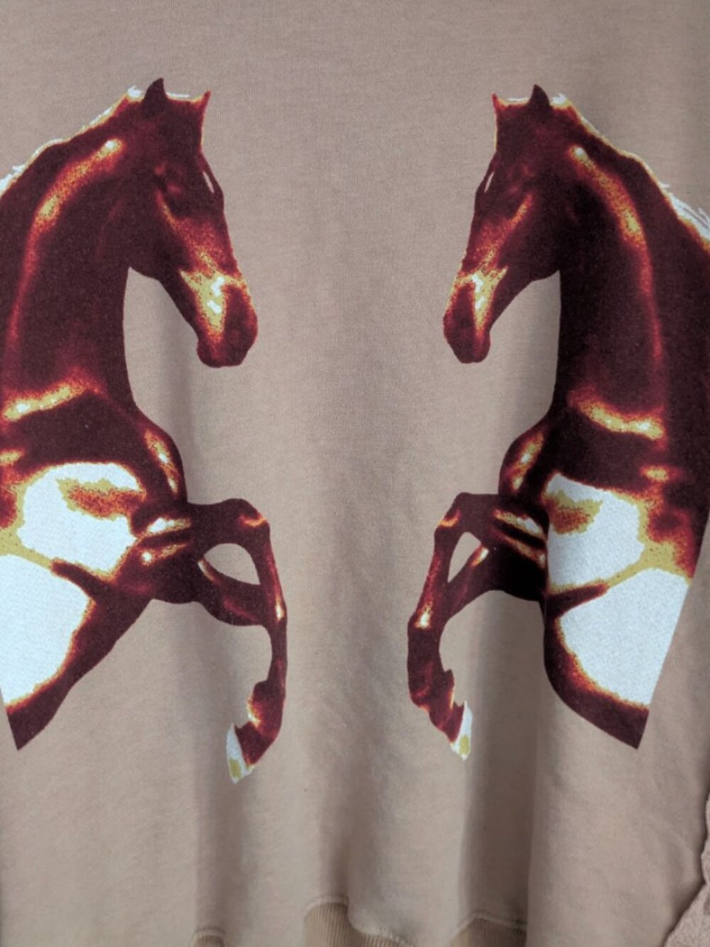 Free People We The Free Camden Mirrored Horses Graphic Sweatshirt Cowgirl Boho M - Picture 7 of 11